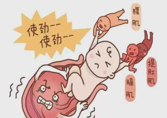 按压胎儿(按压胎儿对他有影响吗) 第3张 按压胎儿(按压胎儿对他有影响吗) 第3张