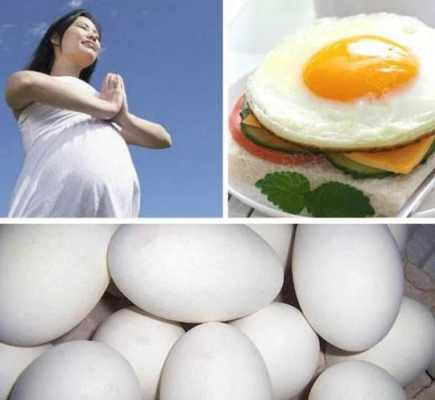 孕期为什么要吃鹅蛋（孕期为什么要吃鹅蛋呢）  第1张