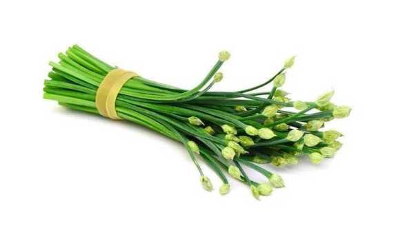 孕期能吃韭菜花吗(孕期能吃韭菜花吗?) 第3张 孕期能吃韭菜花吗(孕期能吃韭菜花吗?) 第3张