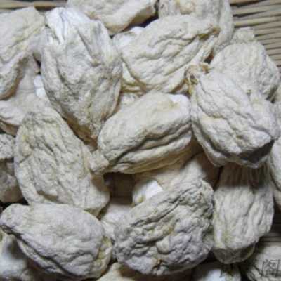 竹荪胎儿(竹荪胎儿) 第2张 竹荪胎儿(竹荪胎儿) 第2张