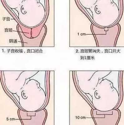 胎儿入盆自己怎么摸(胎儿进入产道怎么知道) 第3张 胎儿入盆自己怎么摸(胎儿进入产道怎么知道) 第3张