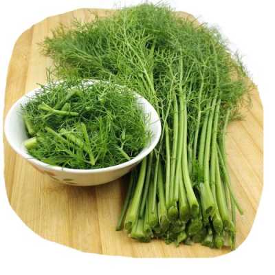孕期可以吃茴香菜吗（孕期可以吃茴香菜吗）  第1张