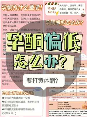 备孕前什么时候补孕酮?应该怎么补呢,备孕期间孕酮低怎么办? 第1张 备孕前什么时候补孕酮?应该怎么补呢,备孕期间孕酮低怎么办? 第1张