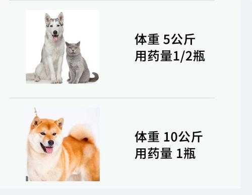 孕期打虫(母猫孕期可以做体外驱虫吗) 第3张 孕期打虫(母猫孕期可以做体外驱虫吗) 第3张