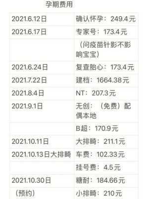 孕期花费(孕期一共花费多少) 第2张 孕期花费(孕期一共花费多少) 第2张
