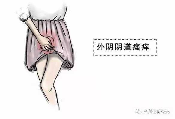 孕期阴部胀 第2张 孕期阴部胀 第2张