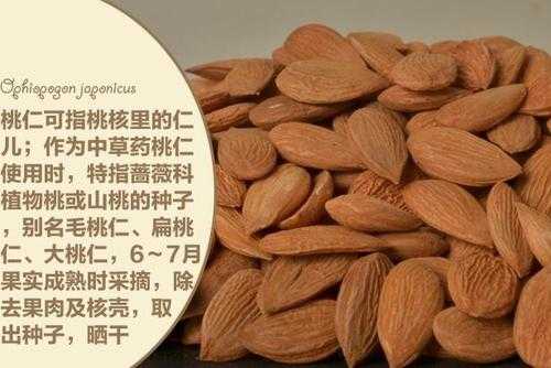 怀孕可以吃桃仁吗,孕期能吃扁桃仁吗 第3张 怀孕可以吃桃仁吗,孕期能吃扁桃仁吗 第3张