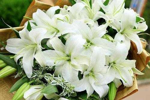 孕期家里可以摆放鲜花吗,孕期梦到花什么预兆 第3张 孕期家里可以摆放鲜花吗,孕期梦到花什么预兆 第3张