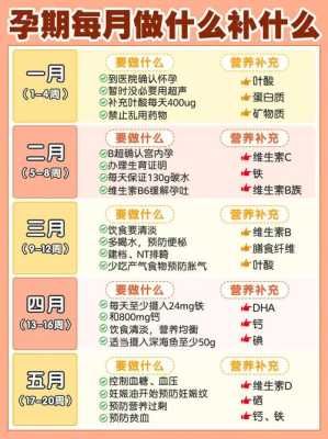 孕期胎儿营养(孕期胎儿营养) 第2张 孕期胎儿营养(孕期胎儿营养) 第2张
