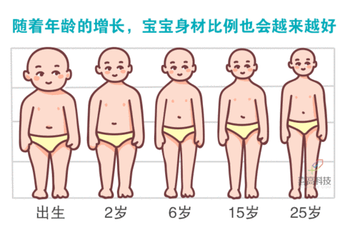 刚出生的婴儿的手臂有多长多粗,胎儿胳膊腿短的原因 第1张 刚出生的婴儿的手臂有多长多粗,胎儿胳膊腿短的原因 第1张