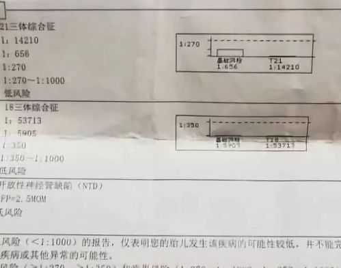 孕检报告单怎么看,胎儿彩超数据参考值 第1张 孕检报告单怎么看,胎儿彩超数据参考值 第1张