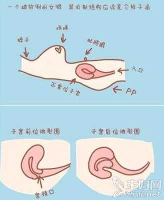 孕36周胎儿在子宫姿势是怎样的?快足月了,怎样产检合适呢,胎儿在子宫内急性缺氧初期表现为胎动 第1张 孕36周胎儿在子宫姿势是怎样的?快足月了,怎样产检合适呢,胎儿在子宫内急性缺氧初期表现为胎动 第1张