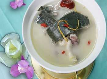 孕期可以喝甲鱼汤吗(孕期可以喝甲鱼汤吗?) 第3张 孕期可以喝甲鱼汤吗(孕期可以喝甲鱼汤吗?) 第3张