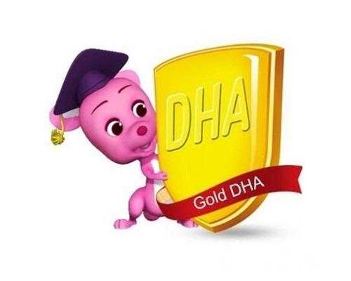 孕期什么时候开始补dha（怀孕几个月吃dha最好）  第2张