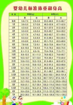 胎儿LV(胎儿lvfs正常值范围是多少) 第3张 胎儿LV(胎儿lvfs正常值范围是多少) 第3张