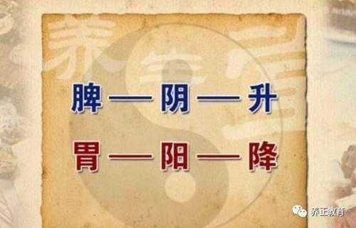 孕期脾虚(孕期脾虚怎么调理) 第2张 孕期脾虚(孕期脾虚怎么调理) 第2张