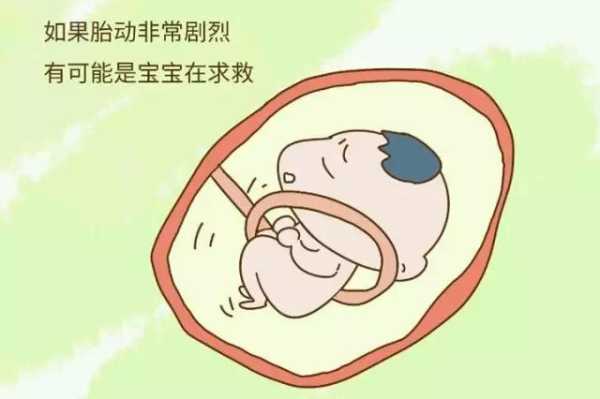 胎儿夜里动(怀孕35周每天晚上胎动厉害正常吗) 第2张 胎儿夜里动(怀孕35周每天晚上胎动厉害正常吗) 第2张