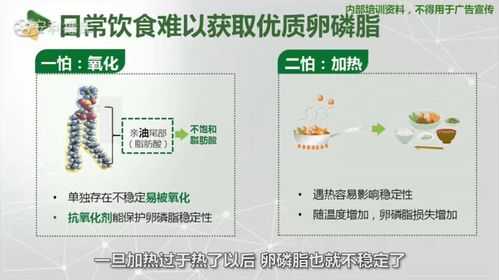 孕期卵磷脂(孕期卵磷脂) 第2张 孕期卵磷脂(孕期卵磷脂) 第2张