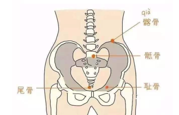 孕期骨盆痛怎么办,孕期骨盆痛位置图 第2张 孕期骨盆痛怎么办,孕期骨盆痛位置图 第2张