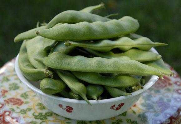孕期梦到豆（孕期梦到豆角是男是女）  第2张