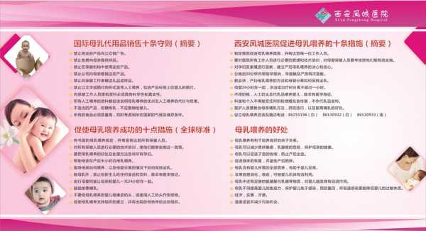 孕期母乳喂养(促进母乳喂养成功的十项规定) 第3张 孕期母乳喂养(促进母乳喂养成功的十项规定) 第3张
