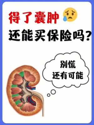 肾缺失胎儿(一个肾能入商业保险吗) 第3张 肾缺失胎儿(一个肾能入商业保险吗) 第3张