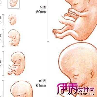 两周宝宝体温多少正常,怀孕两周胎儿是什么样子的 第2张 两周宝宝体温多少正常,怀孕两周胎儿是什么样子的 第2张
