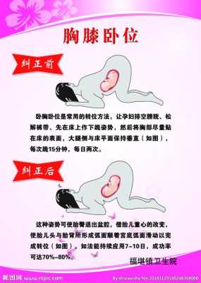 孕期卧位(孕期卧位图) 第2张 孕期卧位(孕期卧位图) 第2张