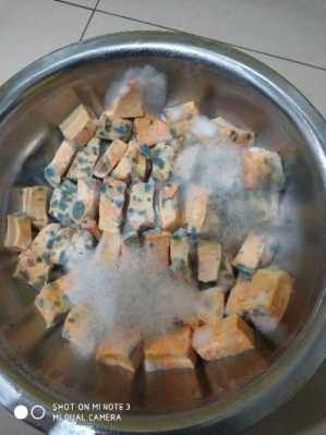 豆腐乳也称霉豆腐,霉是哪种霉菌?为什么可以吃呢,孕期可以吃霉豆腐吗? 第1张 豆腐乳也称霉豆腐,霉是哪种霉菌?为什么可以吃呢,孕期可以吃霉豆腐吗? 第1张