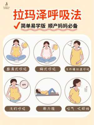 怀孕母猪呼吸频率多少正常,胎儿在体内怎么呼吸的 第3张 怀孕母猪呼吸频率多少正常,胎儿在体内怎么呼吸的 第3张