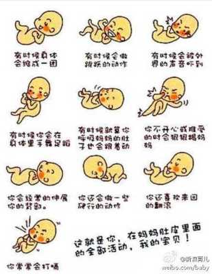 胎儿一直爱动(十一个月宝宝好动怎么回事) 第2张 胎儿一直爱动(十一个月宝宝好动怎么回事) 第2张