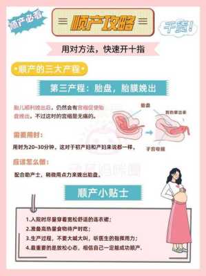 42天的婴儿应该怎么带,胎儿护理知识 第3张 42天的婴儿应该怎么带,胎儿护理知识 第3张