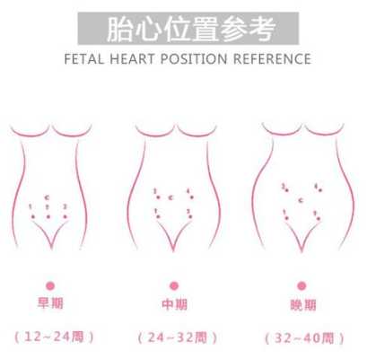 胎儿心跳什么时候开始(胎儿心跳什么时候开始有的) 第2张 胎儿心跳什么时候开始(胎儿心跳什么时候开始有的) 第2张