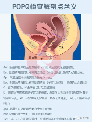 孕期阴道会松弛吗(阴壁膨出1度2度3度图) 第2张 孕期阴道会松弛吗(阴壁膨出1度2度3度图) 第2张