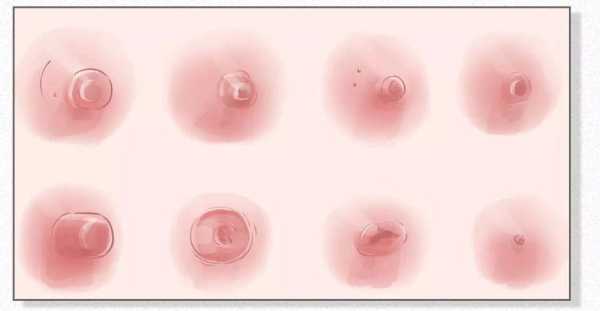 哺乳期怀孕还会有奶水吗,孕期乳分泌物正常吗 第1张 哺乳期怀孕还会有奶水吗,孕期乳分泌物正常吗 第1张