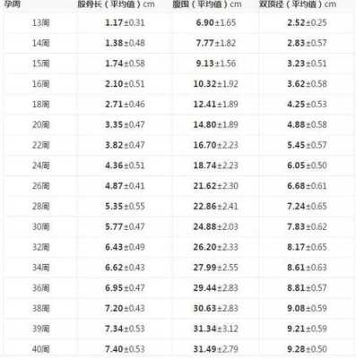 32周胎儿股骨长标准（32周胎儿股骨长标准值）  第1张