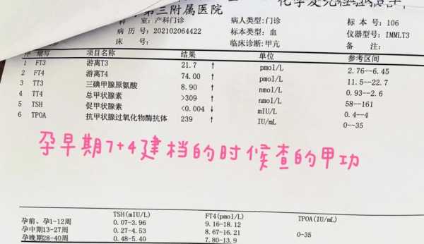 甲亢会影响胎儿智力吗(怀孕13周查出甲亢,怎么处理) 第1张 甲亢会影响胎儿智力吗(怀孕13周查出甲亢,怎么处理) 第1张