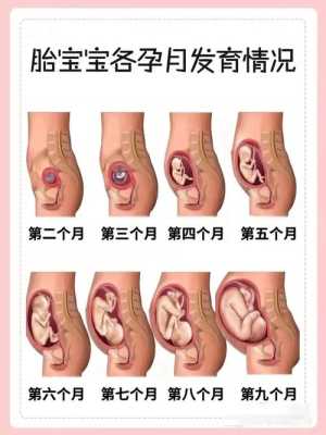 胎儿一天都在动正常吗(6个月的宝宝一天拉几次正常) 第2张 胎儿一天都在动正常吗(6个月的宝宝一天拉几次正常) 第2张