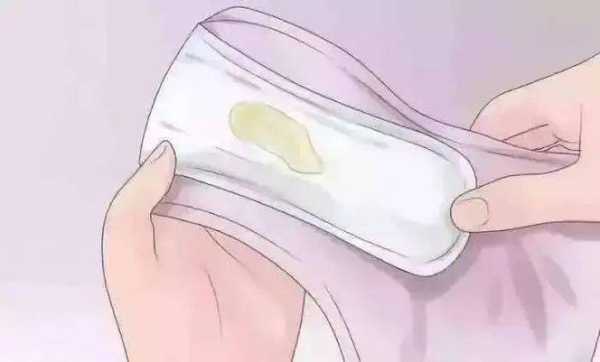 怀孕四个月白带多怎么回事, 第1张 怀孕四个月白带多怎么回事, 第1张