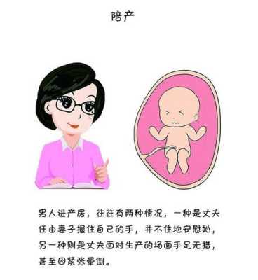 宝妈怀孕宝爸需要做什么,胎儿与准爸爸的区别 第3张 宝妈怀孕宝爸需要做什么,胎儿与准爸爸的区别 第3张