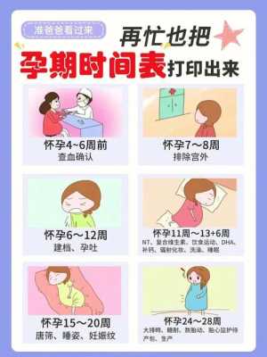 宝妈怀孕宝爸需要做什么,胎儿与准爸爸的区别 第2张 宝妈怀孕宝爸需要做什么,胎儿与准爸爸的区别 第2张