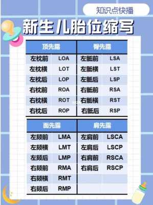l和p哪个是左,胎儿lop位是什么意思 第3张 l和p哪个是左,胎儿lop位是什么意思 第3张