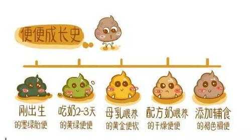 胎儿便便么（胎儿便便去哪里了）  第1张