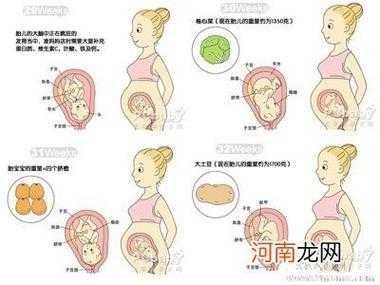 胎儿什么时候有听觉（几个月宝宝会追声）  第3张