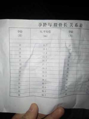 二十四周胎儿腿偏小两周正常吗,孕妇晚期吃什么长股骨 第2张 二十四周胎儿腿偏小两周正常吗,孕妇晚期吃什么长股骨 第2张
