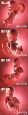 胎儿有意识（宝宝多大才有意识）  第2张