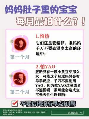 胎儿几个月怕辐射（胎宝宝每个月怕什么）  第1张