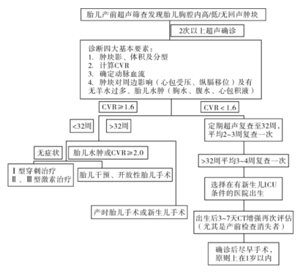 胎儿肺囊腺瘤怎么办,胎儿肺囊腺瘤三型存活率 第2张 胎儿肺囊腺瘤怎么办,胎儿肺囊腺瘤三型存活率 第2张