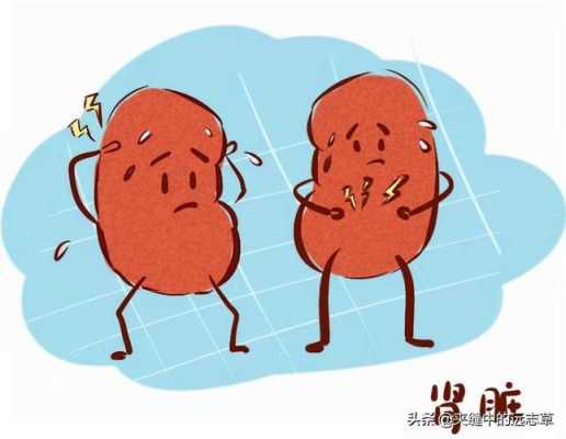 胎儿双肾集合部分离(怀孕七个月胎儿双肾集合系统分离是什么原因) 第2张 胎儿双肾集合部分离(怀孕七个月胎儿双肾集合系统分离是什么原因) 第2张