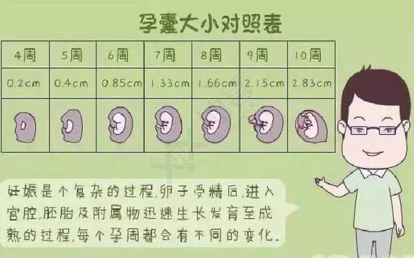 怀孕10周卵黄囊10MM属于正常吗,怀孕10周胎儿稳定了吗? 第1张 怀孕10周卵黄囊10MM属于正常吗,怀孕10周胎儿稳定了吗? 第1张